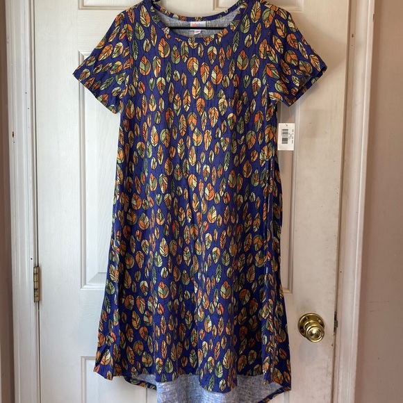LulaRoe XS Carly - Picture 1 of 4